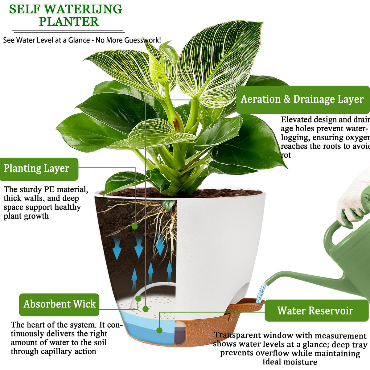 Fielda water level window on pot shows precise moisture level.