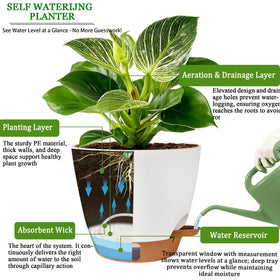 Fielda water level window on pot shows precise moisture level.