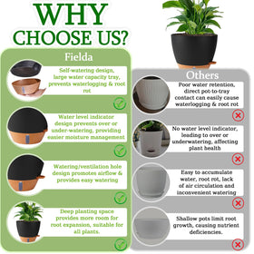 Fielda size guide for 8-12 inch pots helps pairing with plants.