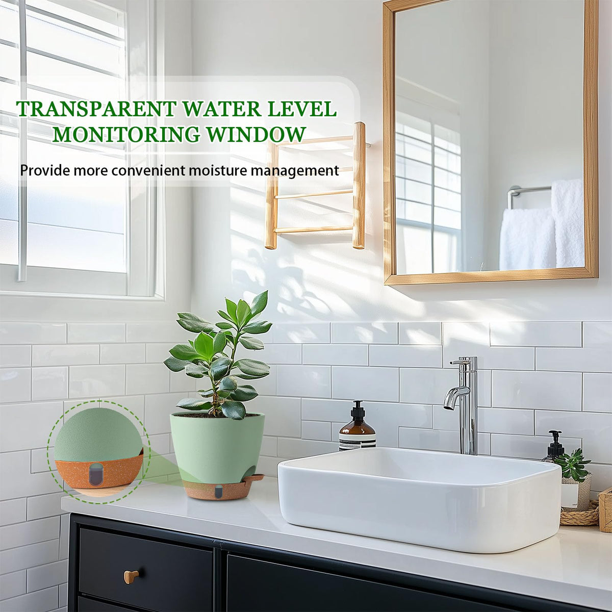 Fielda 8-inch pot with clear water window helps avoid overwatering.