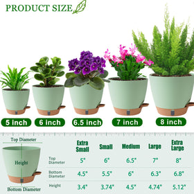 Fielda water level window pot lets you monitor reservoir at a glance.