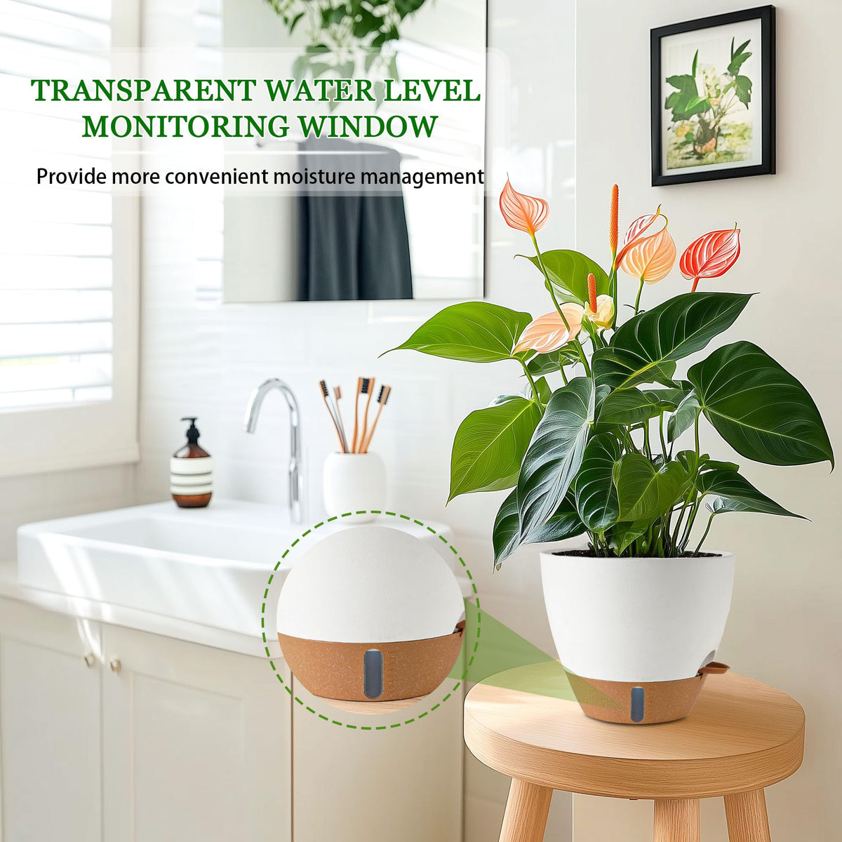 Fielda water reservoir detail supports consistent moisture for indoor plants.