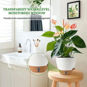 Fielda water reservoir detail supports consistent moisture for indoor plants.