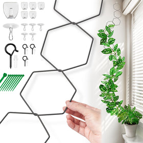 Filda chain trellis with hex rings for climbing plants indoors