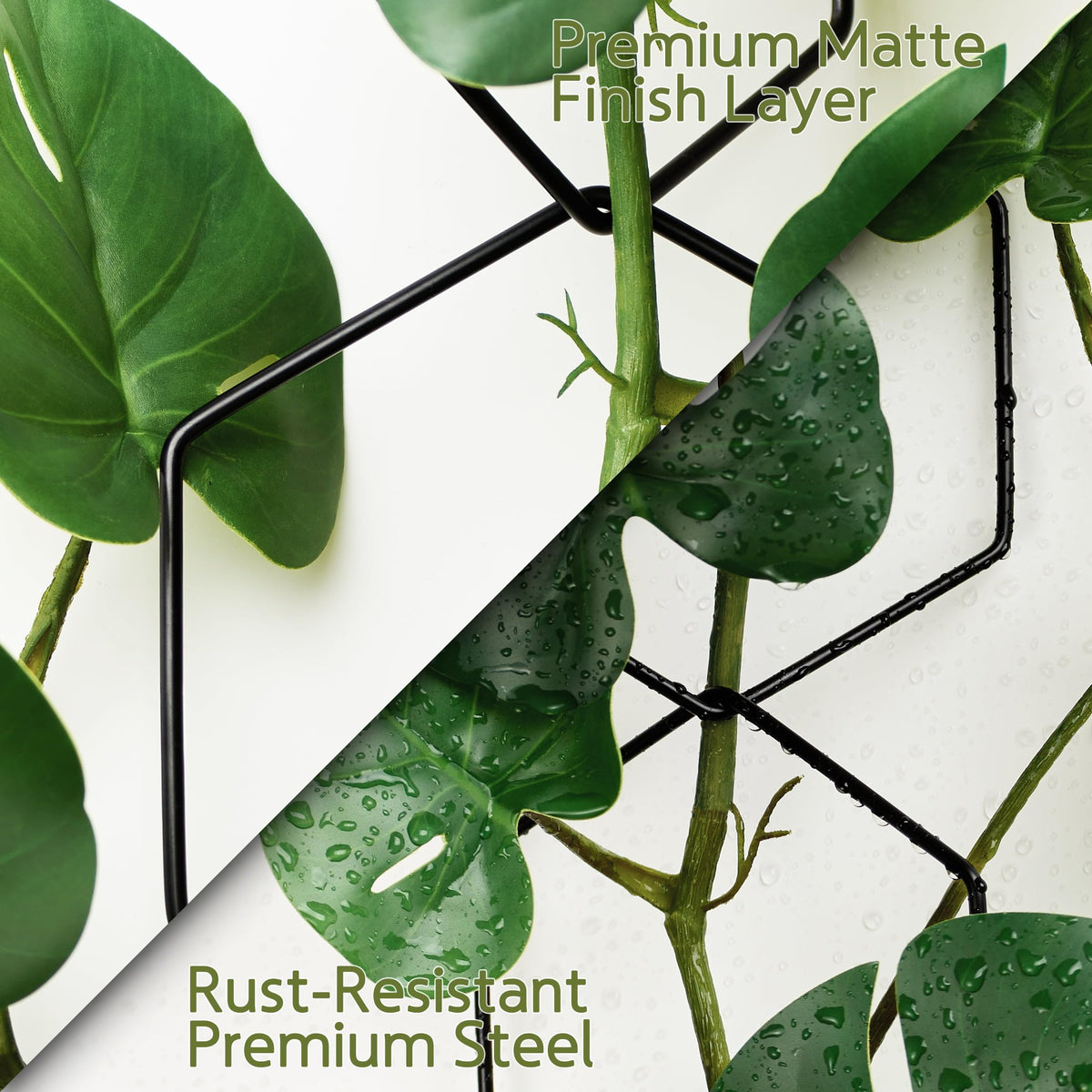 Hex ring design provides sturdy support for ivy and philodendrons