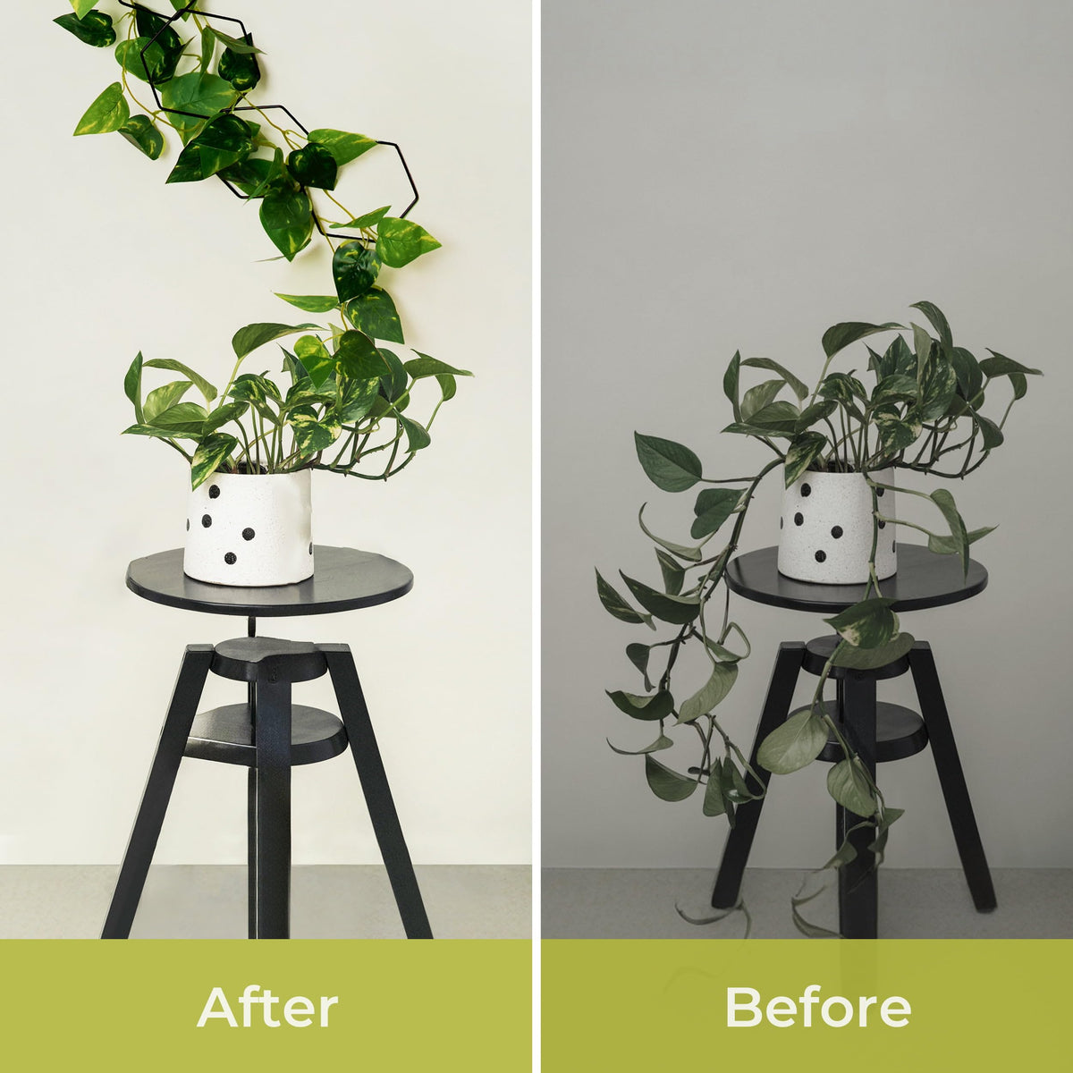 Weather resistant coating ideal for indoor and outdoor use