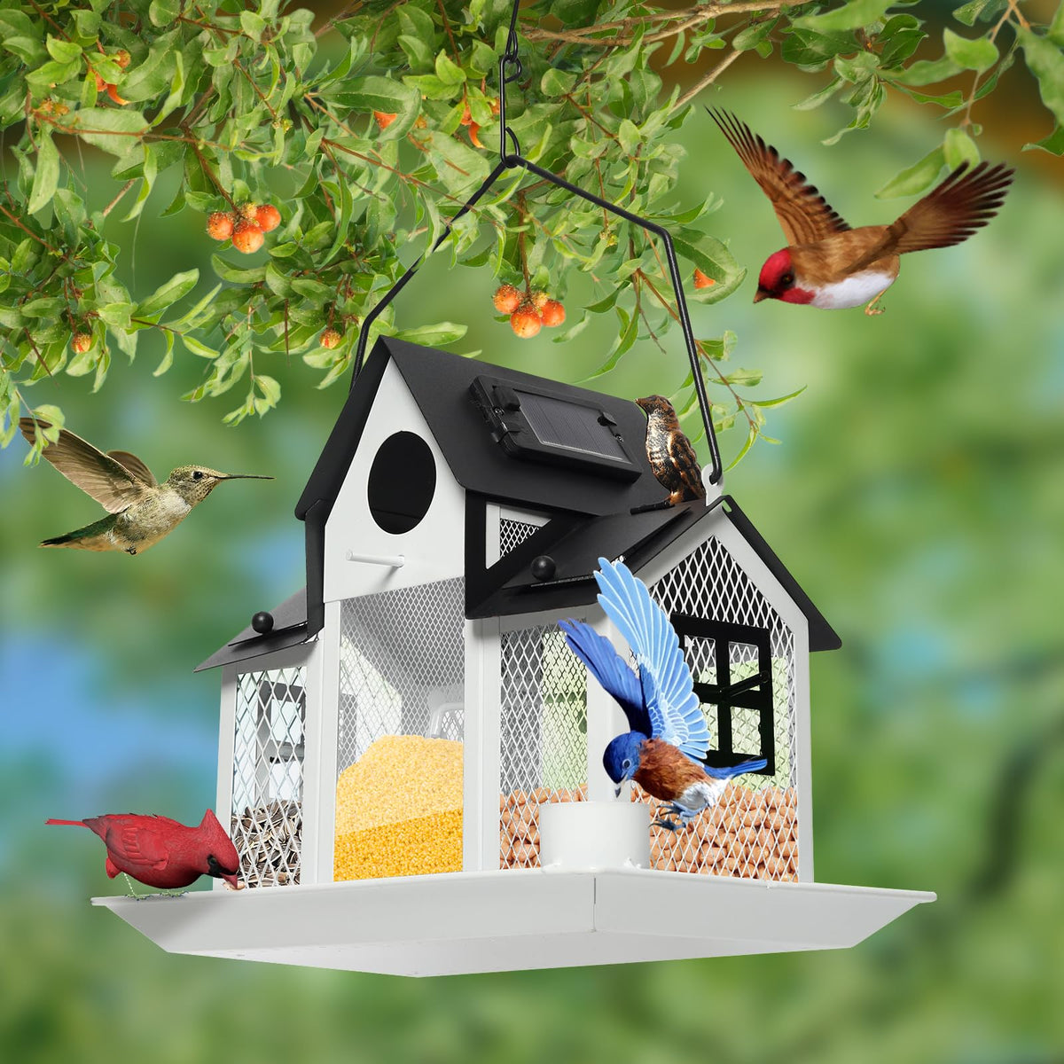 FIMOFIDRE night solar light enhances garden ambiance for visiting birds