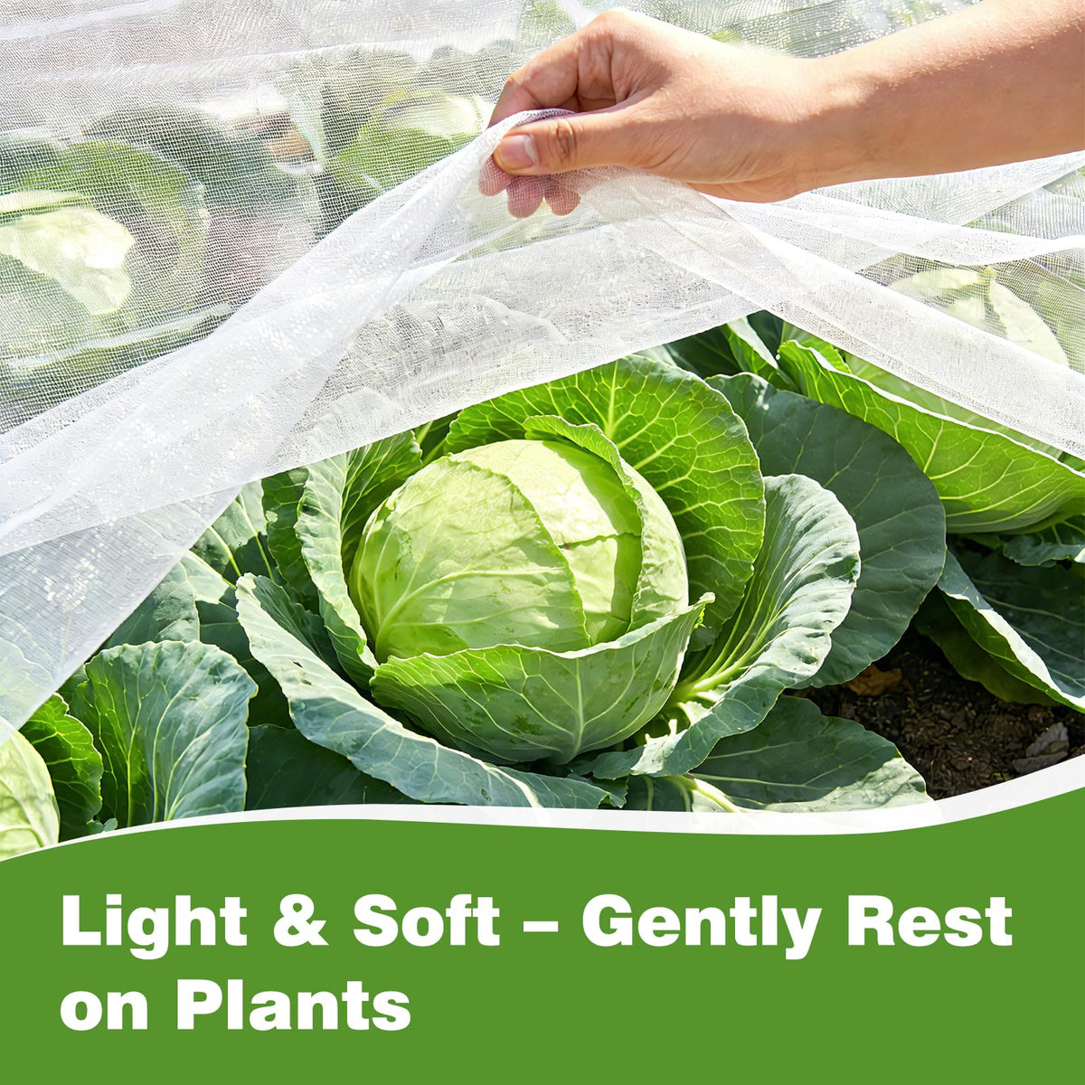 Fippy 0.8mm ultra-fine mesh lets air, water, and sun reach plants.