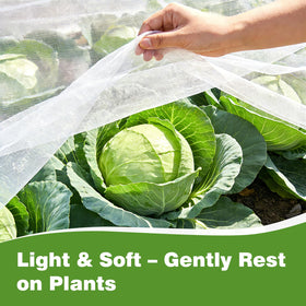 Fippy 0.8mm ultra-fine mesh lets air, water, and sun reach plants.