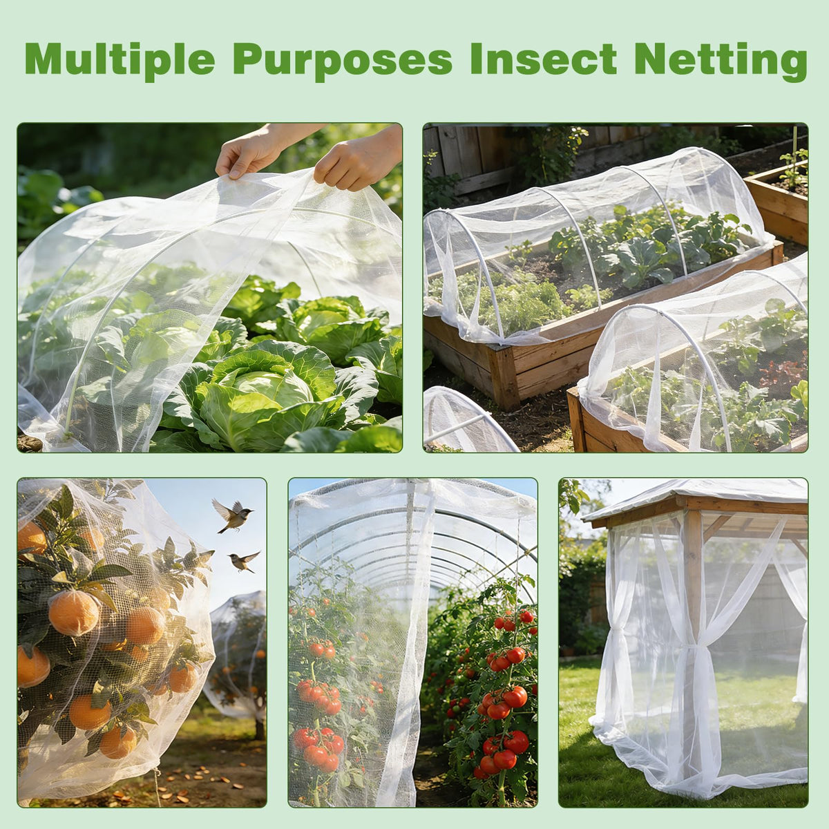 Fippy garden netting enhances aesthetics while blending into garden scenery.