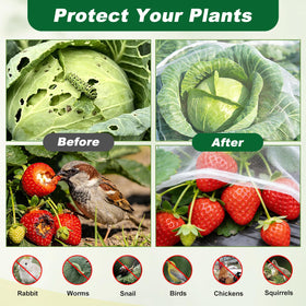 Fippy raised-bed protection netting guards crops while maintaining airflow.