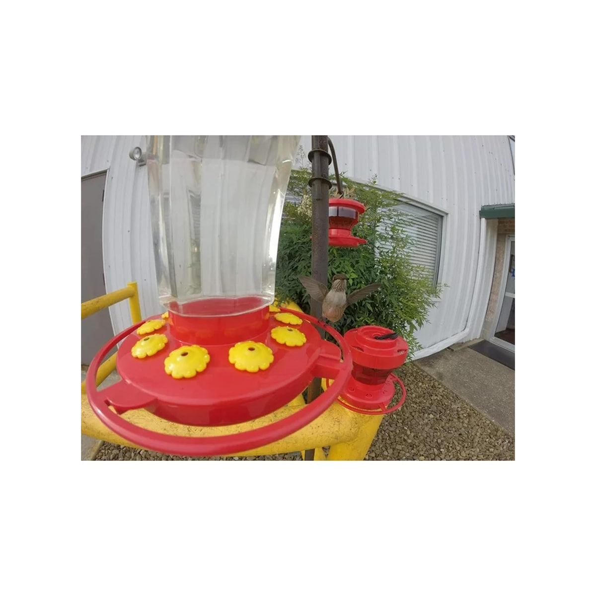 First Nature 3090 feeder displays 32-ounce capacity for longer feeding sessions.