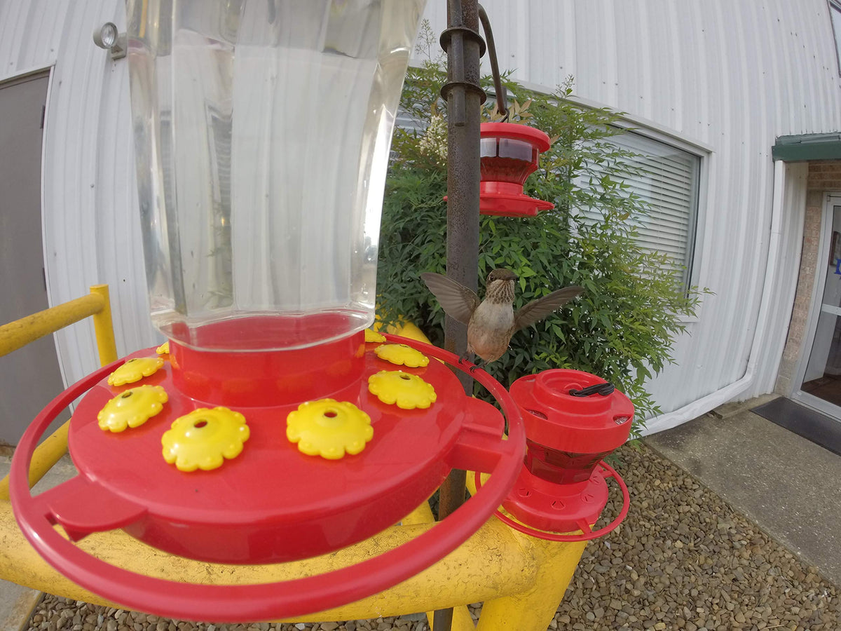 First Nature 3090 feeder with flower visuals to attract hummingbirds.