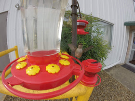 First Nature 3090 feeder with flower visuals to attract hummingbirds.