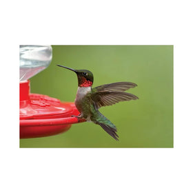 First Nature 3090 feeder shows multicolor body that attracts attention.