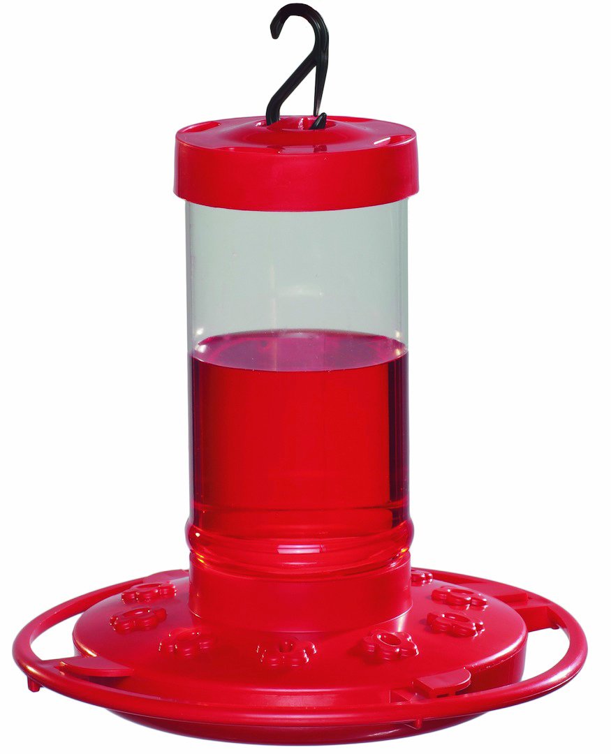 First Nature hummingbird feeder with wide-mouth reservoir in red attracts visiting birds