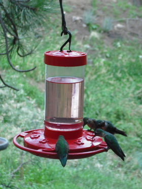 Durable USA-made plastic feeder designed for season-after-season use