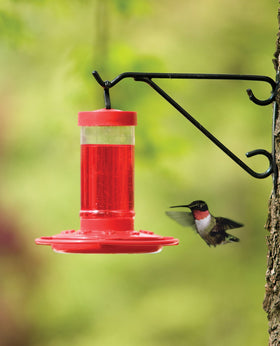 First Nature red feeder shows eight feeding ports for multiple hummingbirds