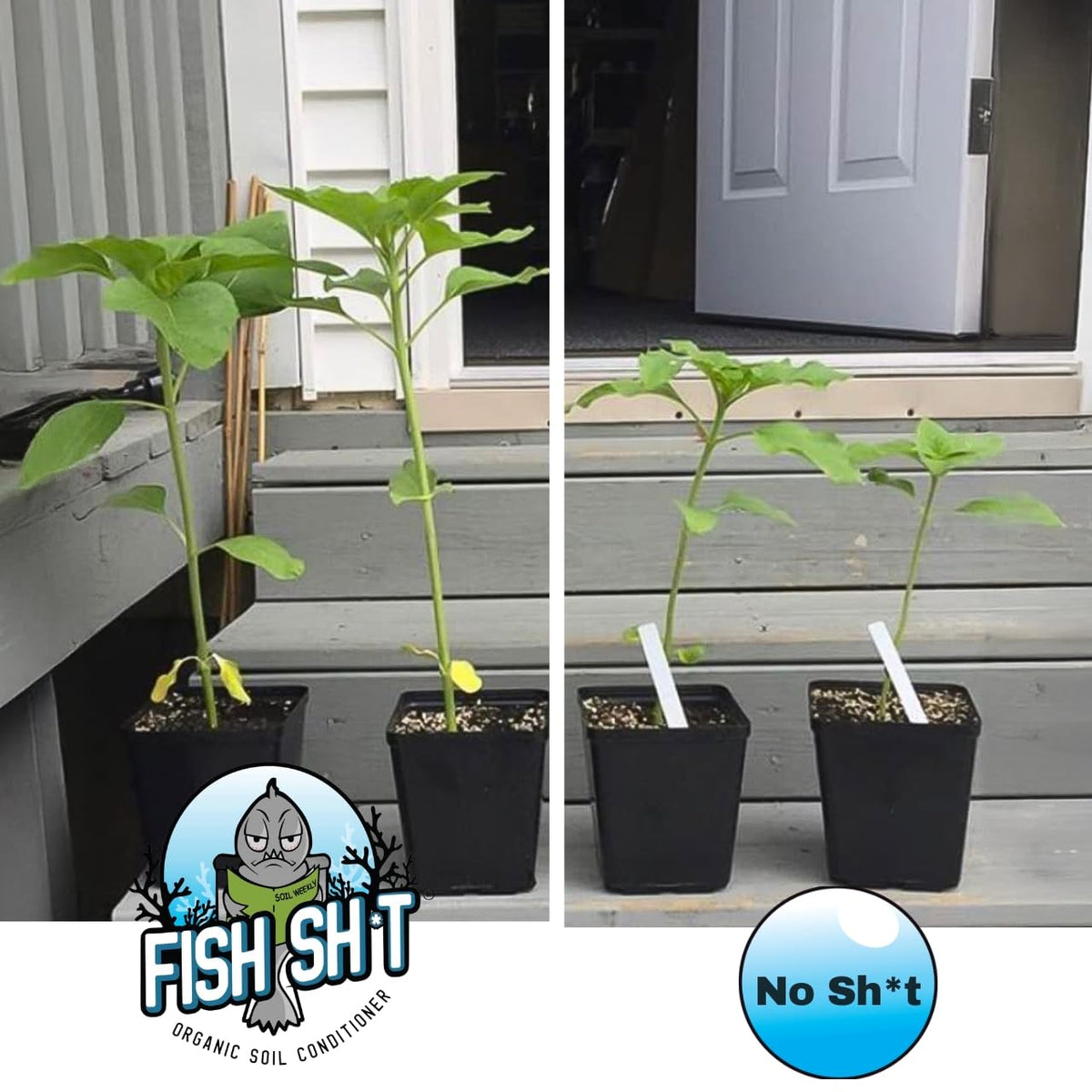 Fish Head Farms Organic Soil Conditioner hydroponics use for cleaner nutrient delivery