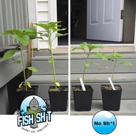 Fish Head Farms Organic Soil Conditioner hydroponics use for cleaner nutrient delivery