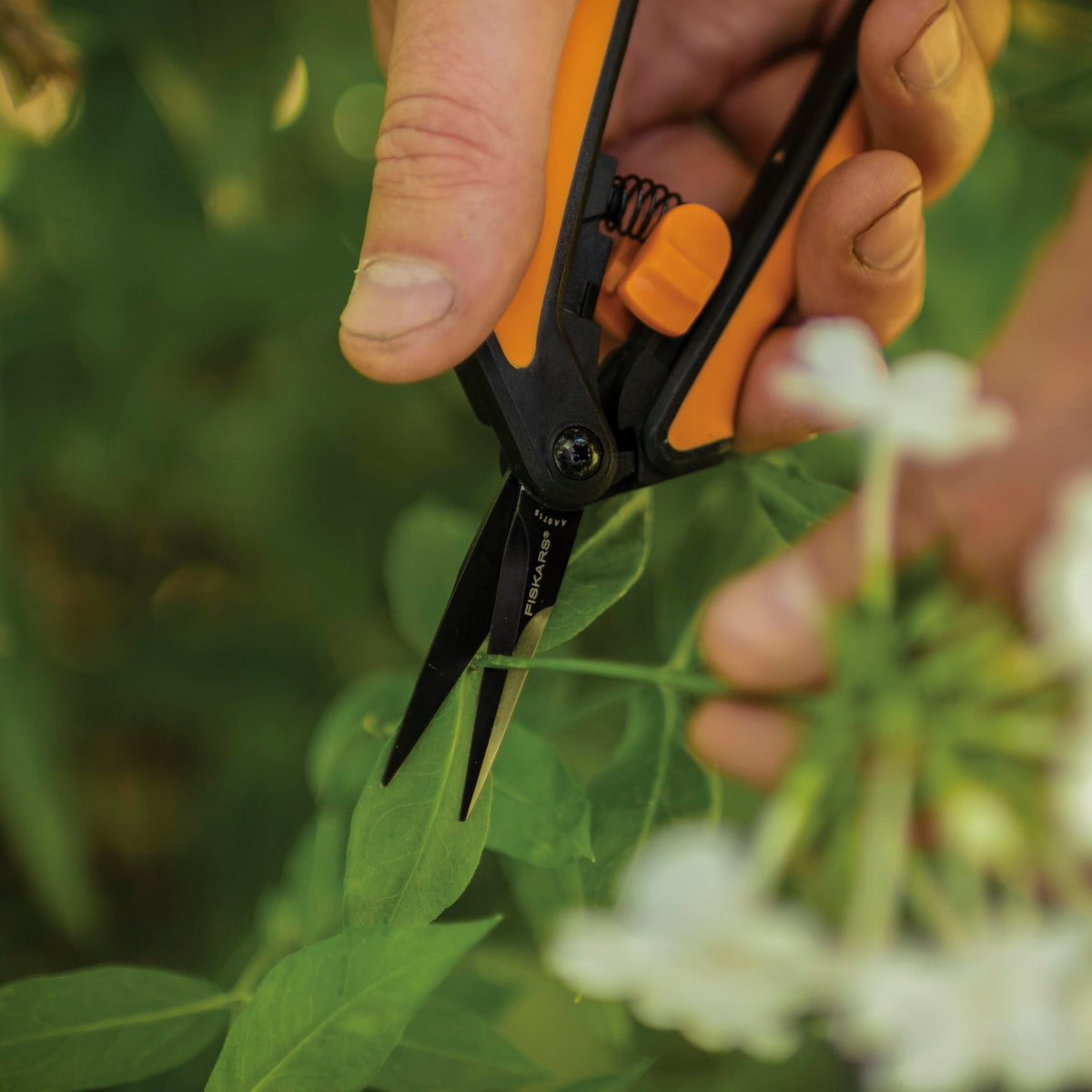 Fiskars 2-pack pruning snips ready for garden tasks.