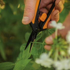 Fiskars 2-pack pruning snips ready for garden tasks.