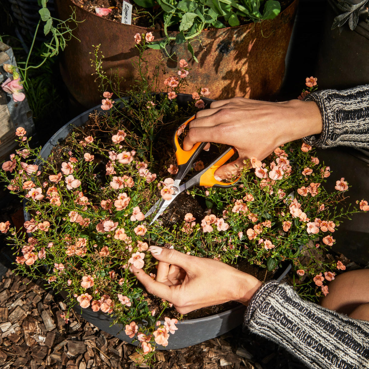 Fiskars 7-inch Comfort Loop snips designed for gardening
