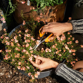 Fiskars 7-inch Comfort Loop snips designed for gardening
