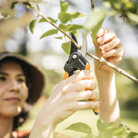 Fiskars pruning shears with lifetime warranty badge