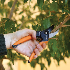 Fiskars pruner cutting live green stems with clean action