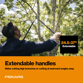 Fiskars loppers cutting a 1.5 inch branch with ease