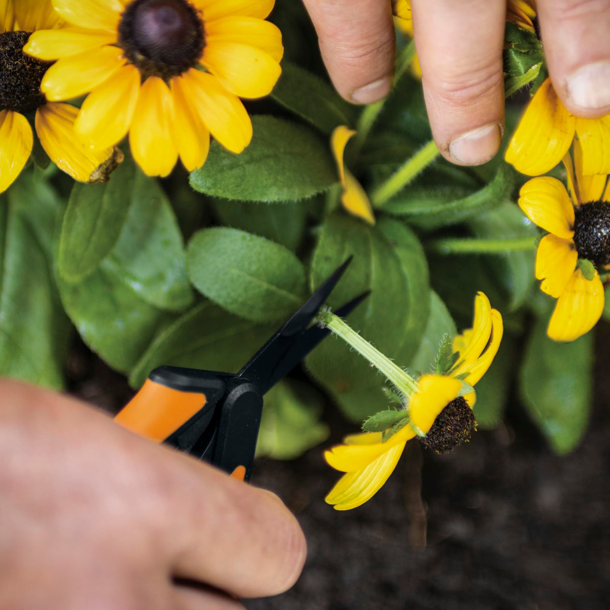 Fiskars micro-tip blades reach into tight spaces for precise plant shaping.