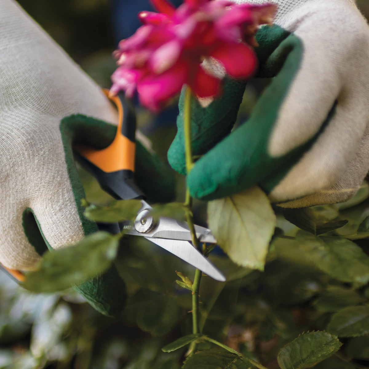 Fiskars micro-tip precision cut for tight spaces