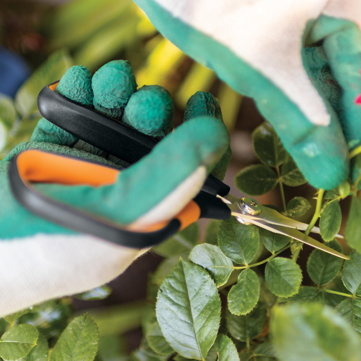 Fiskars non-stick blade coating reduces sticking during trimming