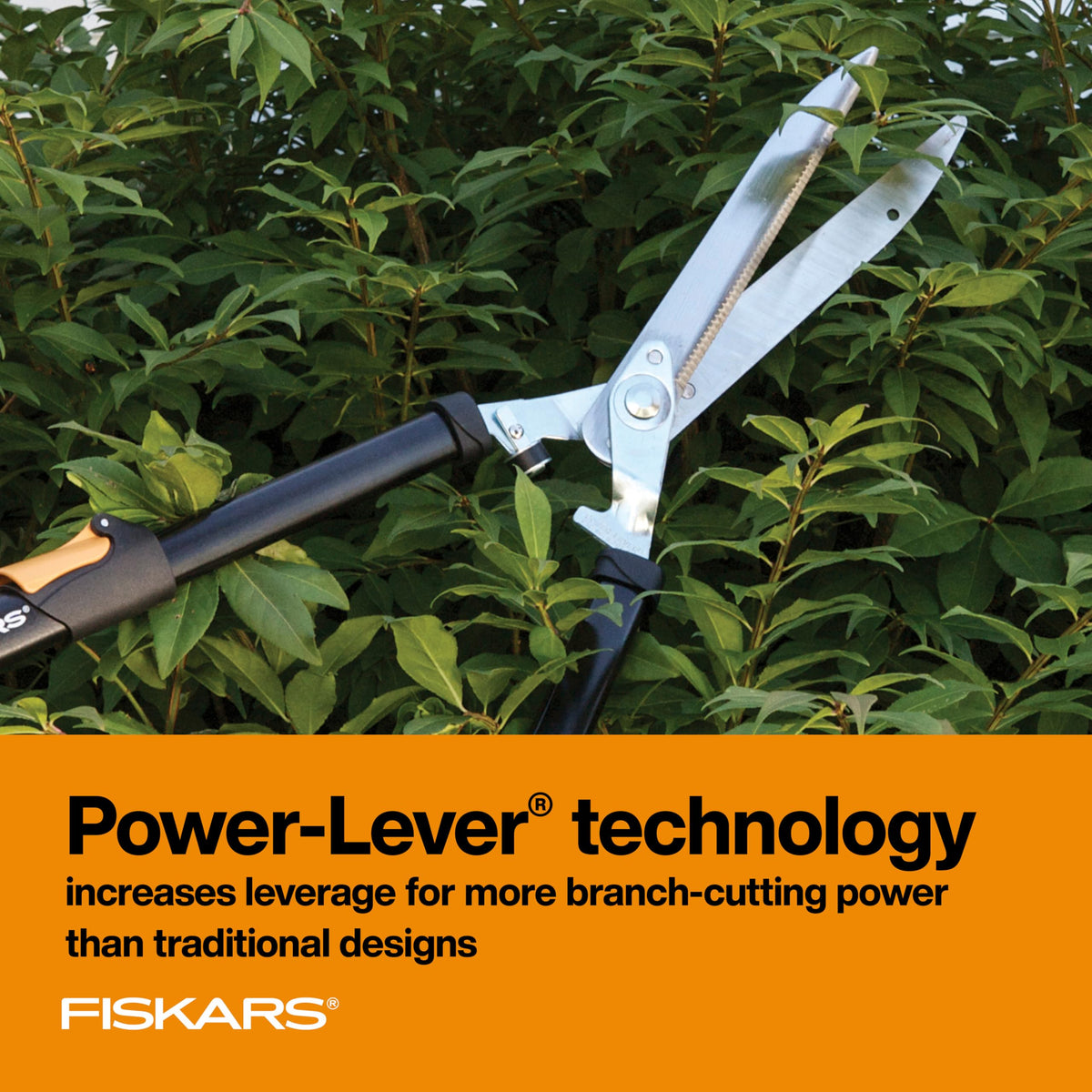 Fiskars hedge shears locked at length for precise cuts in tall shrubs