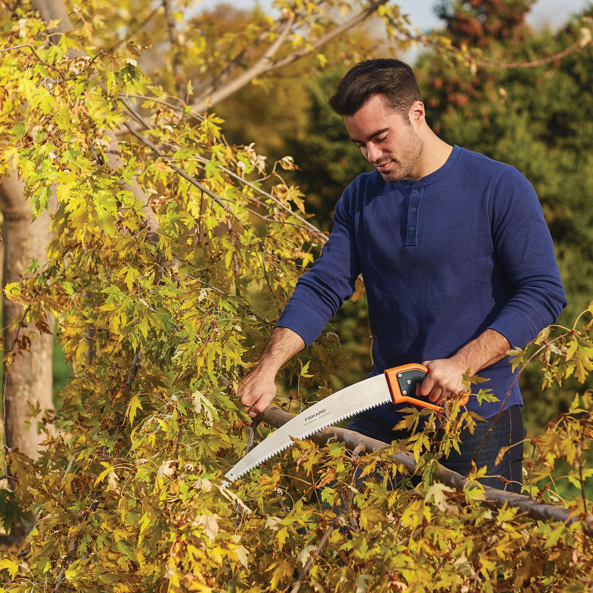 Fiskars SoftGrip D-handle adds comfortable control for extended pruning sessions.