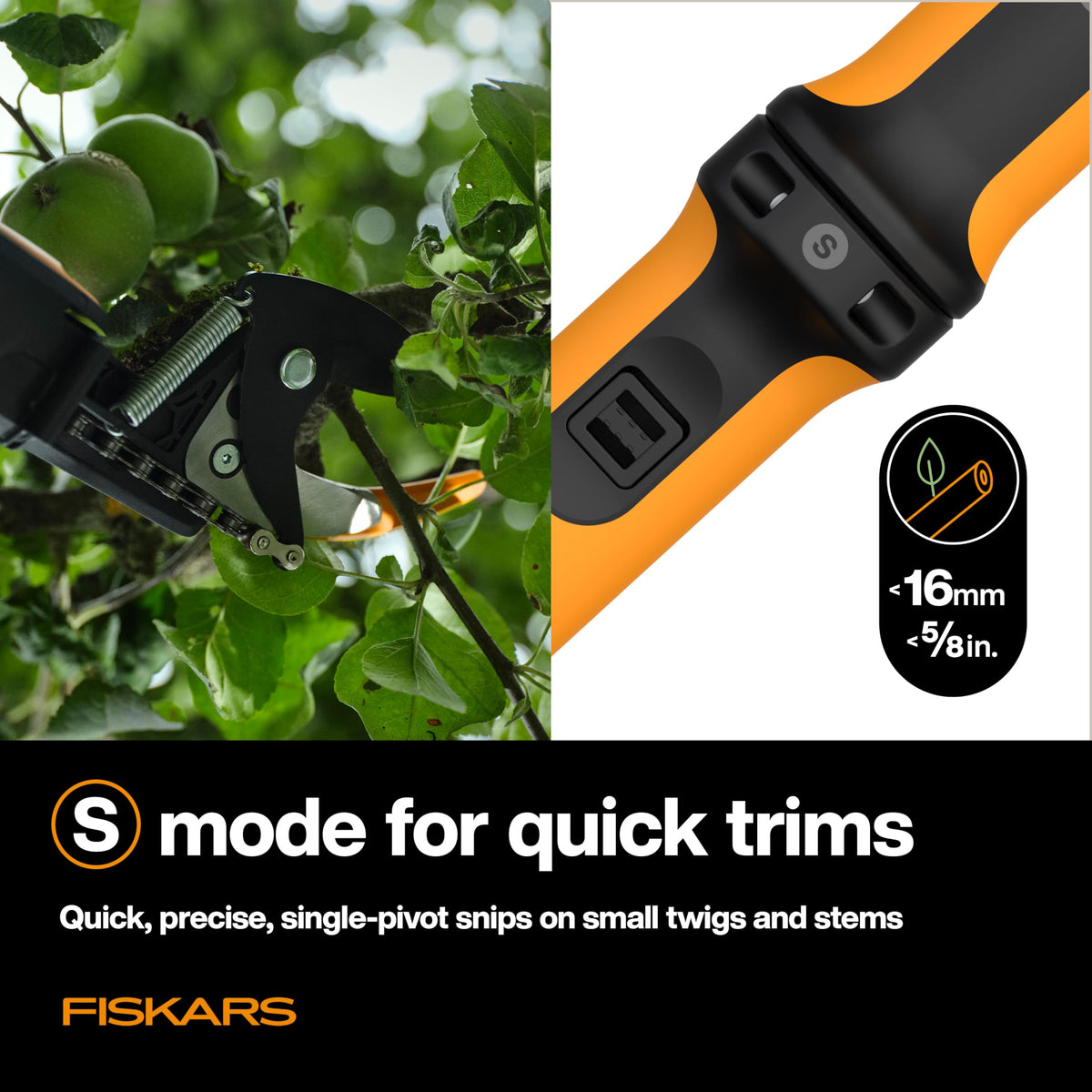 Telescoping pole pruner extended for tall tree trimming from the ground