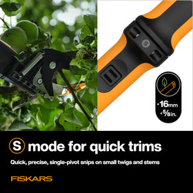 Telescoping pole pruner extended for tall tree trimming from the ground