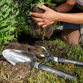 Fiskars Xact Cultivator stainless steel head resists rust for durable garden prep.