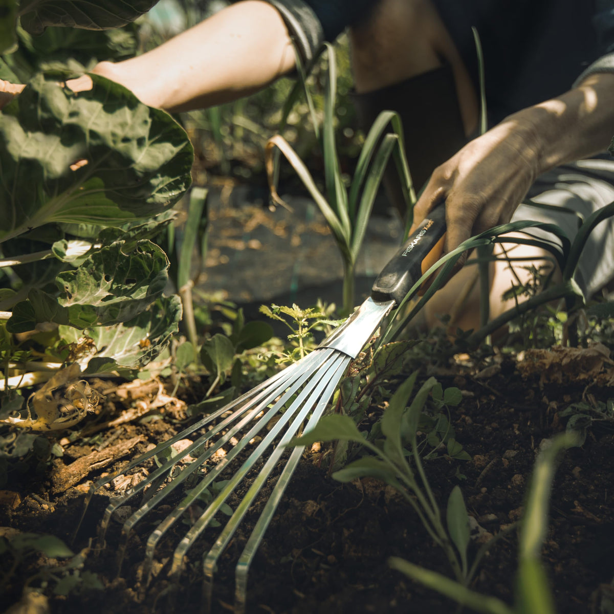Fiskars Xact SoftGrip handle enhances control and extended comfort.