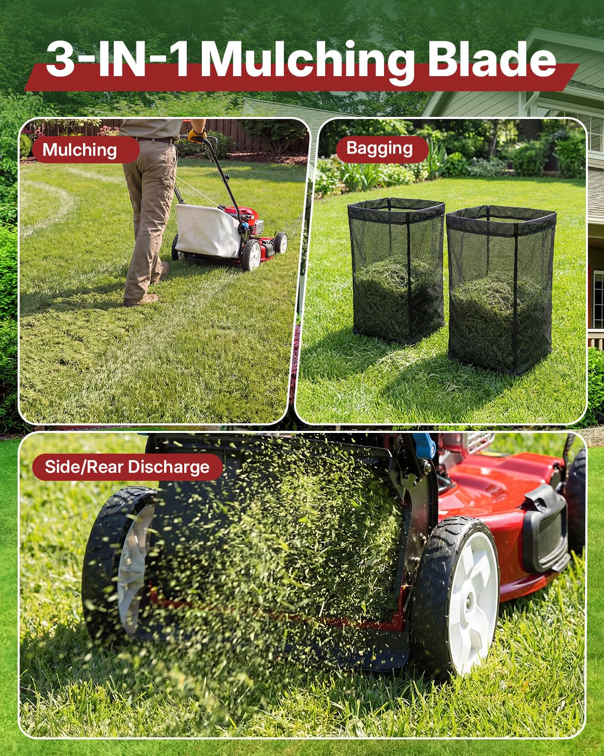 Fismiuta sharp cutting edge for cleaner lawn passes.