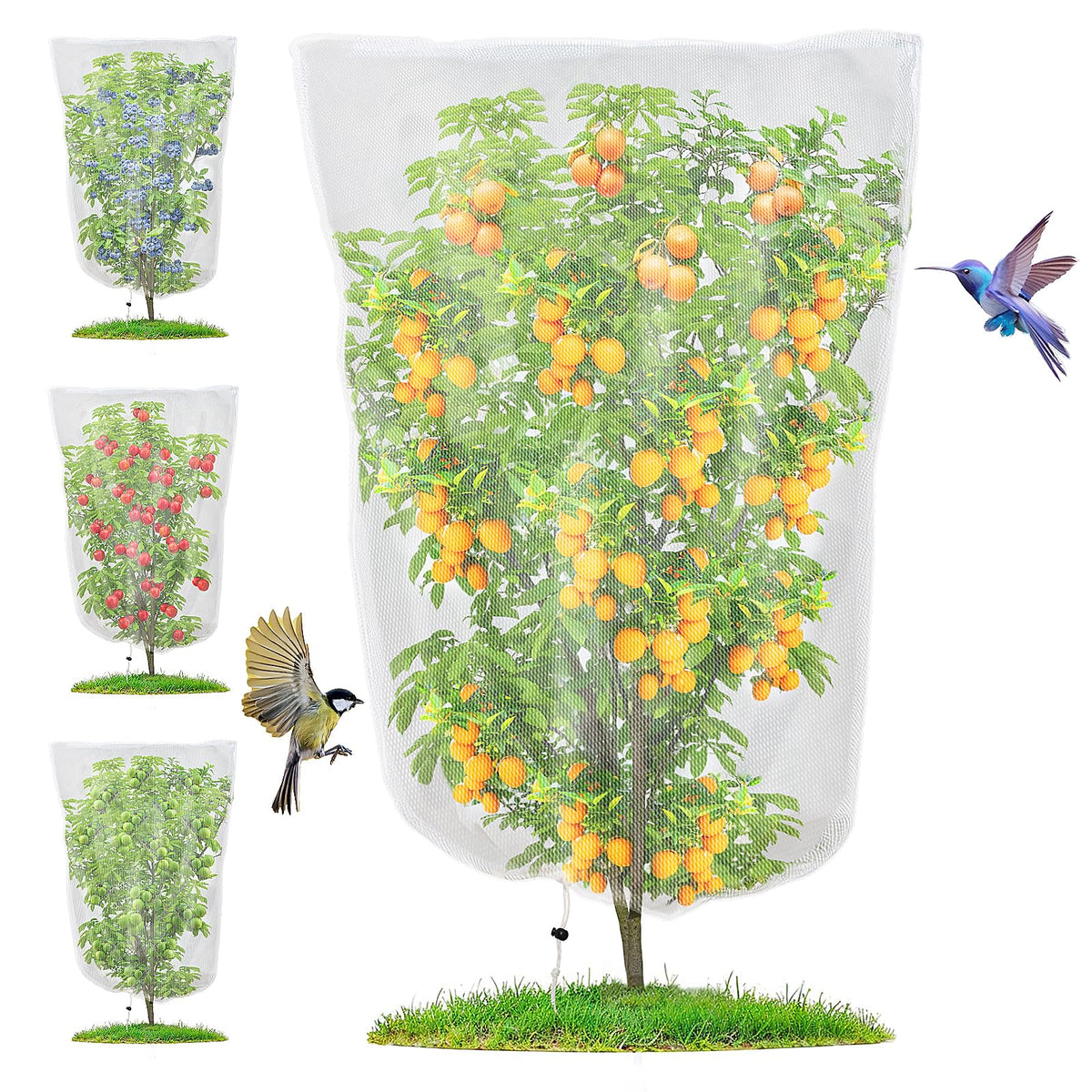Fitnice four-pack barrier mesh on blueberry bushes shields fruit while letting air flow.