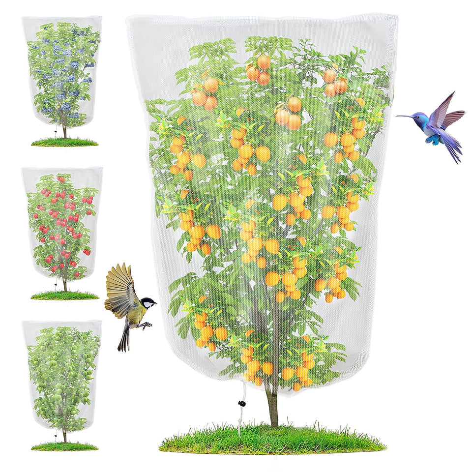 Fitnice four-pack barrier mesh on blueberry bushes shields fruit while letting air flow.