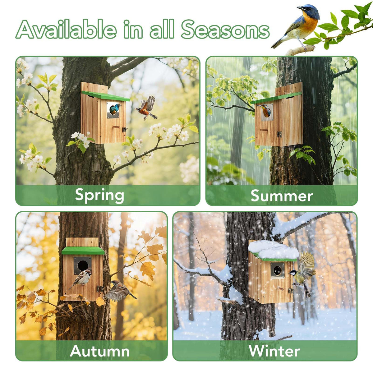 Fitraho 2-pack cedar bird houses create a charming backyard habitat for birds.