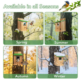 Fitraho 2-pack cedar bird houses create a charming backyard habitat for birds.
