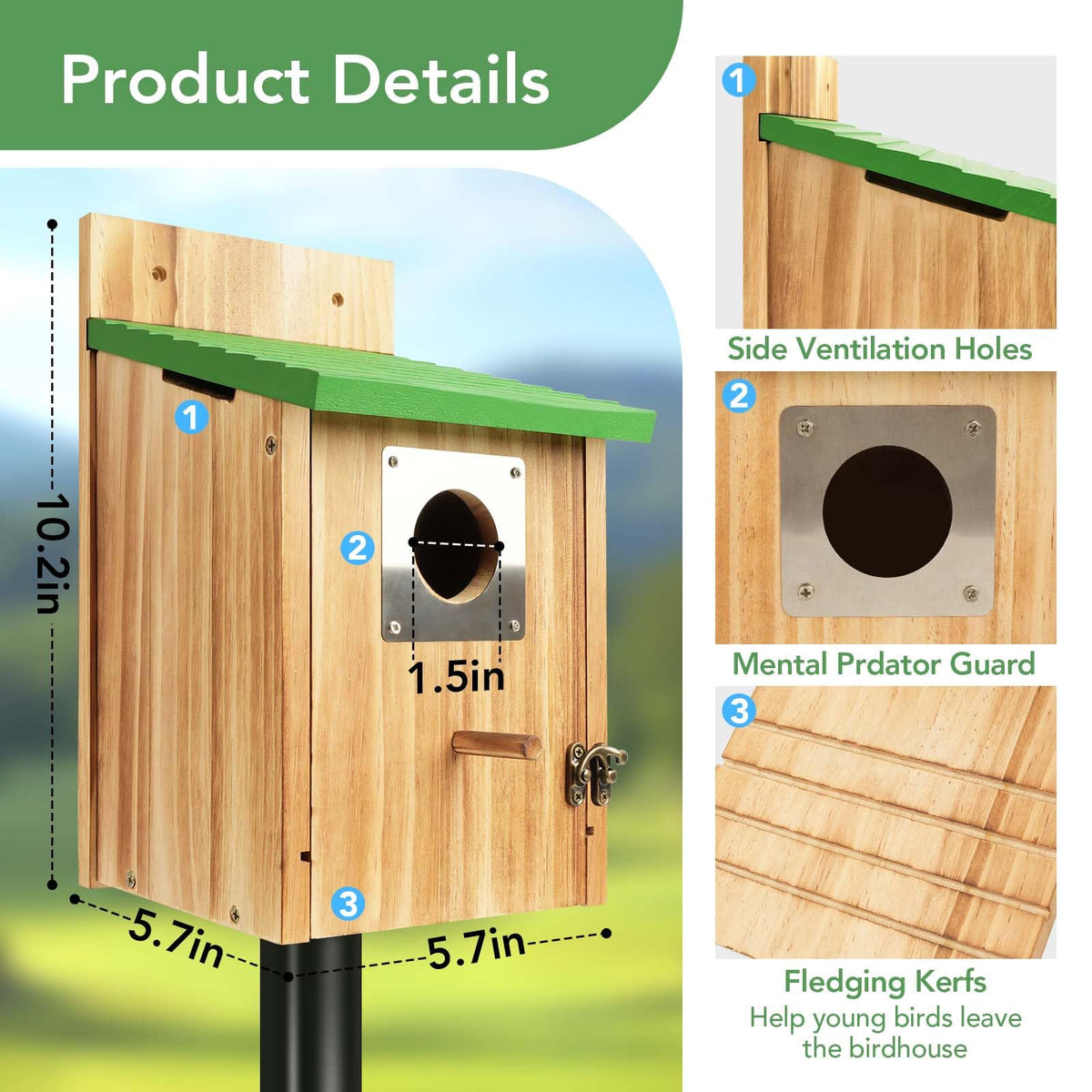 Fitraho bluebird house entrance detail with a 1.5 inch opening for small songbirds.