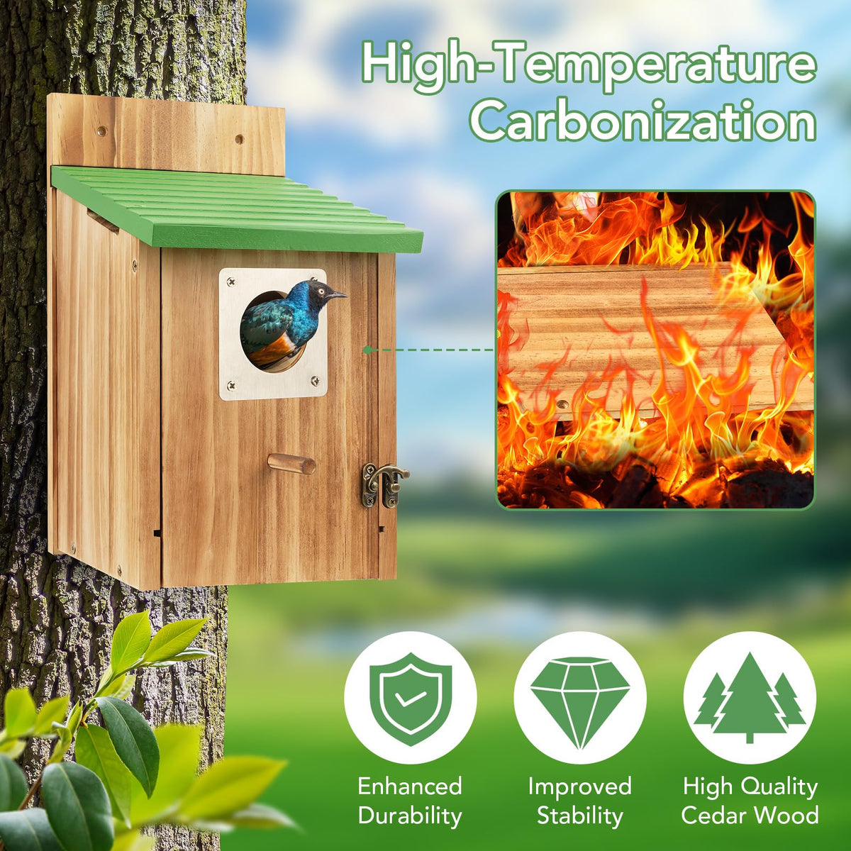 Fitraho cedar bluebird house with predator guard protects young birds during nesting.