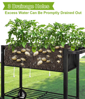 Fiwithy planter box on wheels enables easy relocation for sun shading.