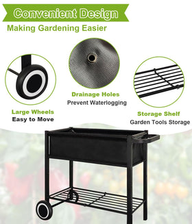 Fiwithy three drainage holes keep soil fresh and prevent waterlogging.