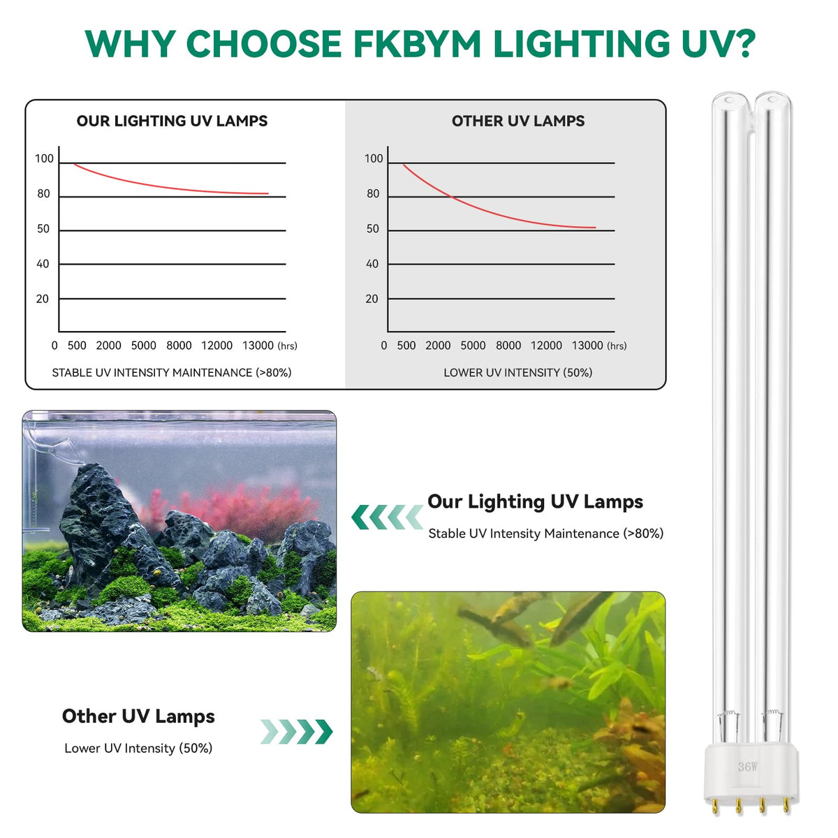 FKBYM HVAC UV light enhances aquatic system maintenance